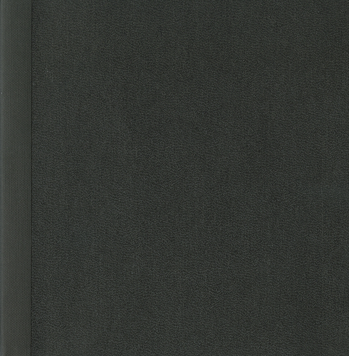 The dailies coloring book : [bootleg edition of Thomas Demand's The dailies] / Andrea Uribe; Johnny Galvan