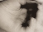 20150128_142053.jpg