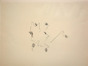 e_worp2pen.tif