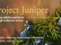 Project Juniper Final Client Pitch_R5.pdf