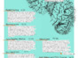 Visual and Critical Studies Forums Fall 2007.pdf