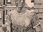 tr1446.jpg