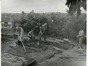 14013103CA-garden in southern corner of campus-1942.tif