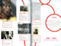 Diversity_Timeline_final.pdf